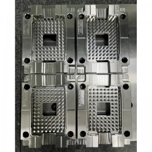 Multi cavity præcisionsform ibi-8